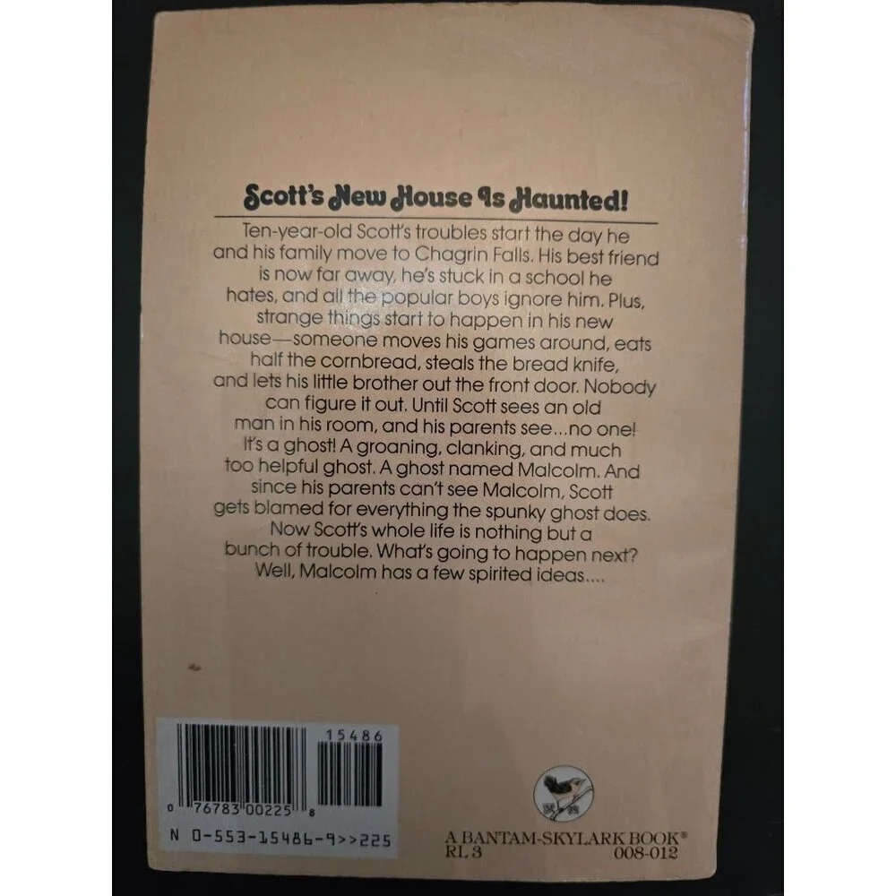 Ghost in My Soup by Judi Miller Vintage Paperback